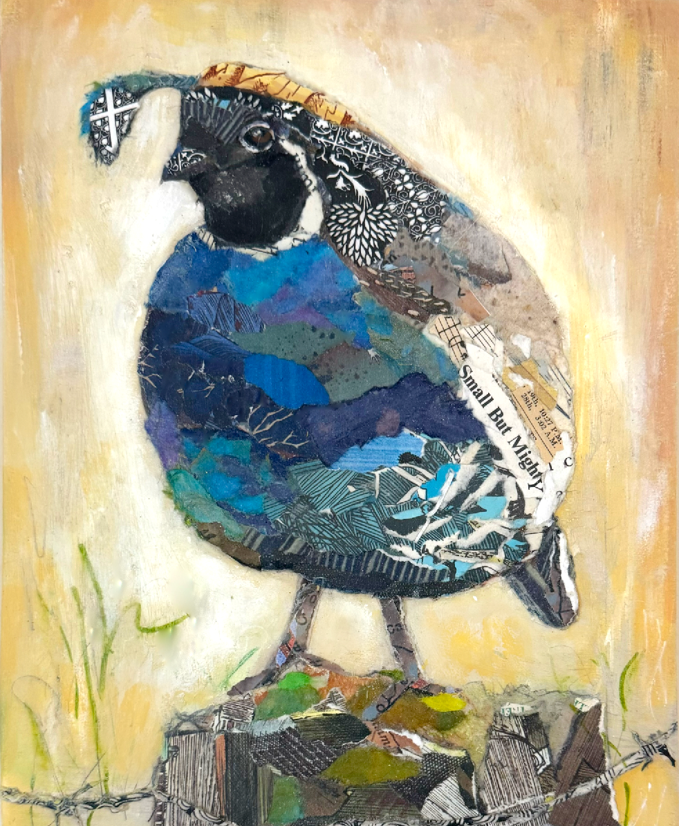 Chubby Quail Original Paper Collage by Jacquie Masterson