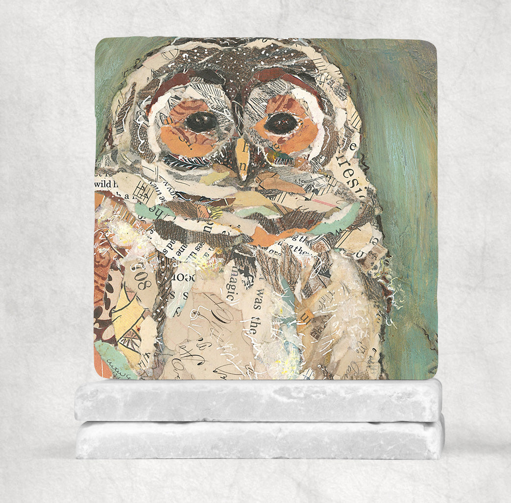 Othello the Owl Stone Coasters - 2 piece set