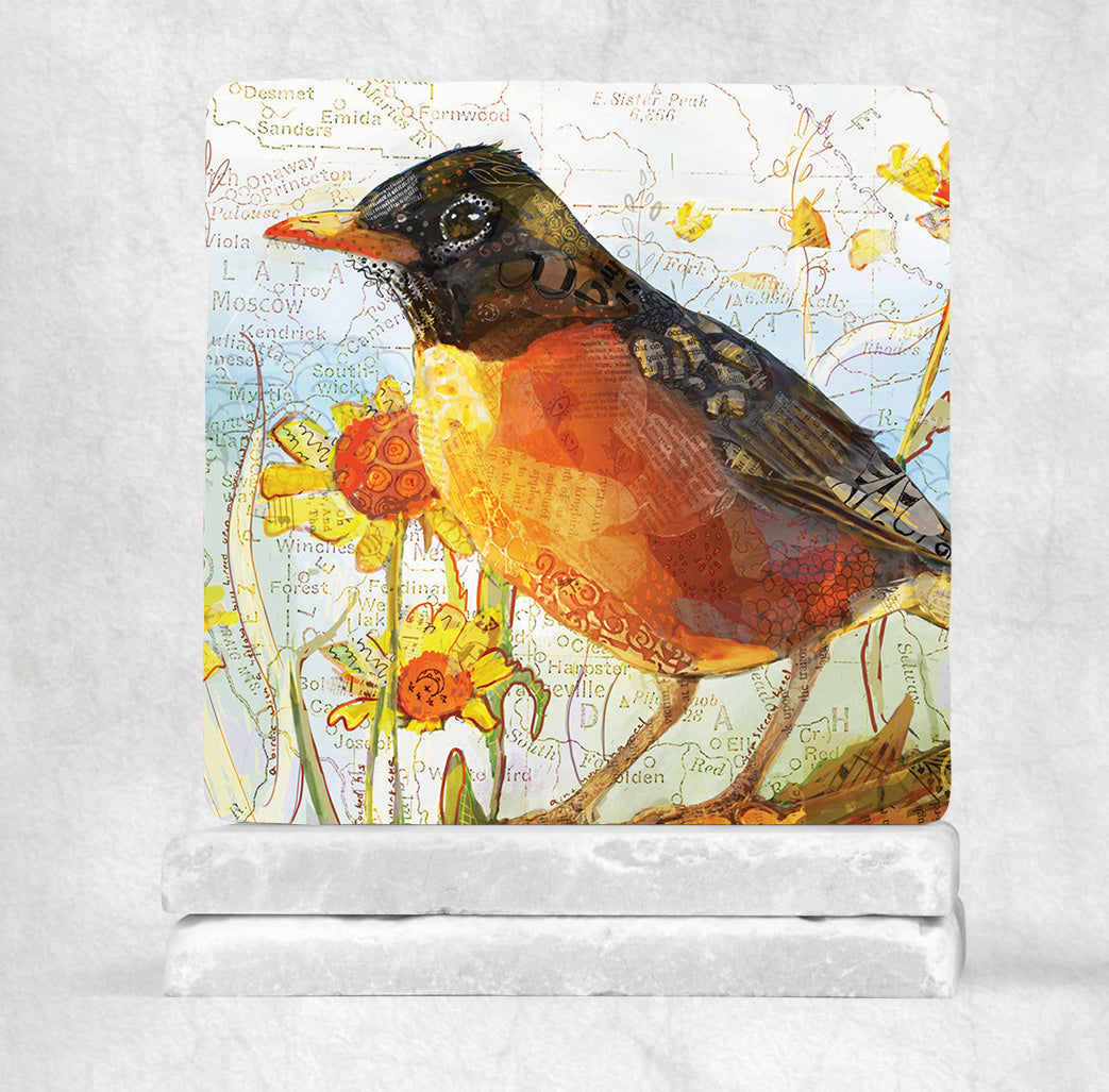 Robin Bird On Map Stone Coasters - 2 piece set
